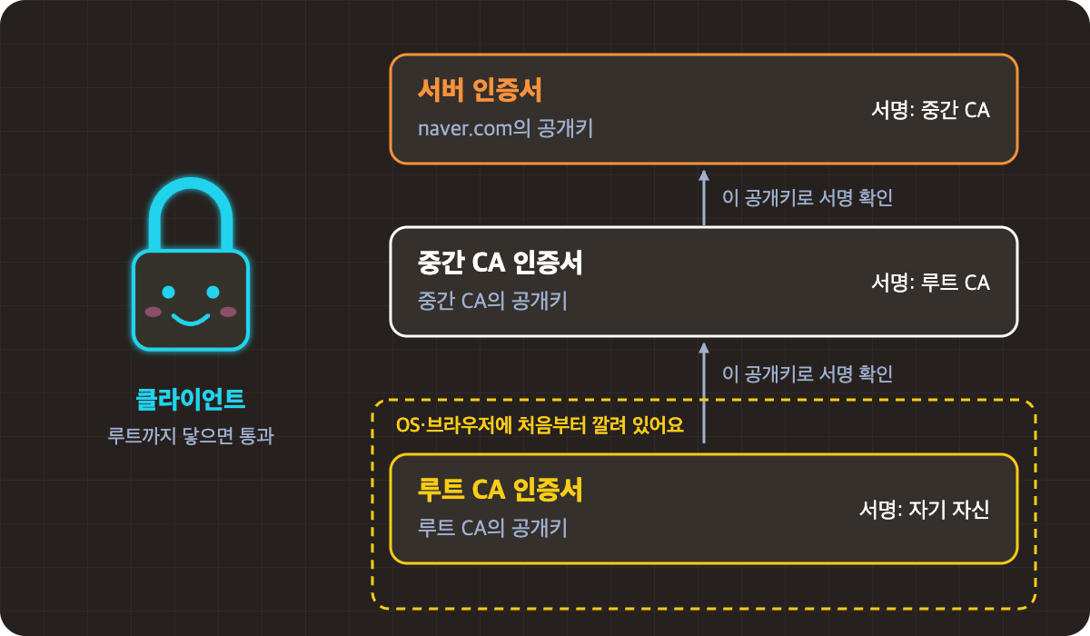 인증서_체인.png
